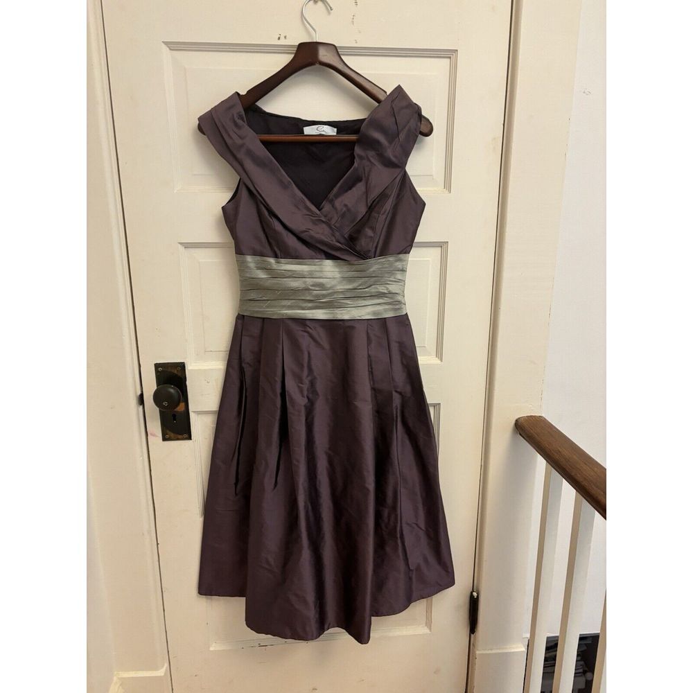 Siri Eggplant Purple 100%‎ Silk Formal Lined  Dress - Size 4